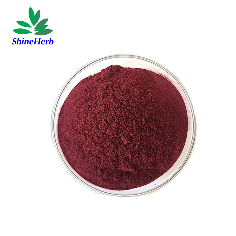 pine-bark-extract-1