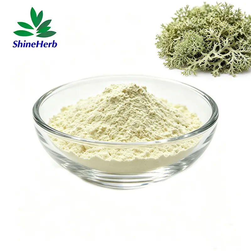 High-Quality Pure Natural Food Grade Lichen Extract 98% Usnic Acid Sodium Powder Company, Exporter