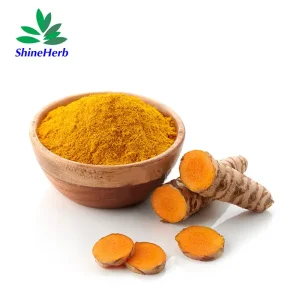 Liposomal Curcumin Powder