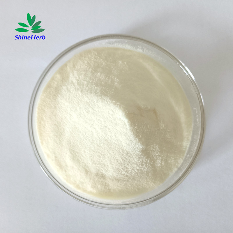 xylanase-2