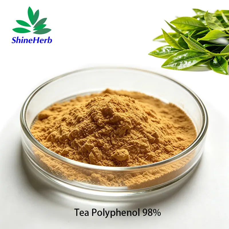 Buy Green Tea Extract High Purity EGCG Natural Skin-Care Raw Material Manufacturer, Exporter