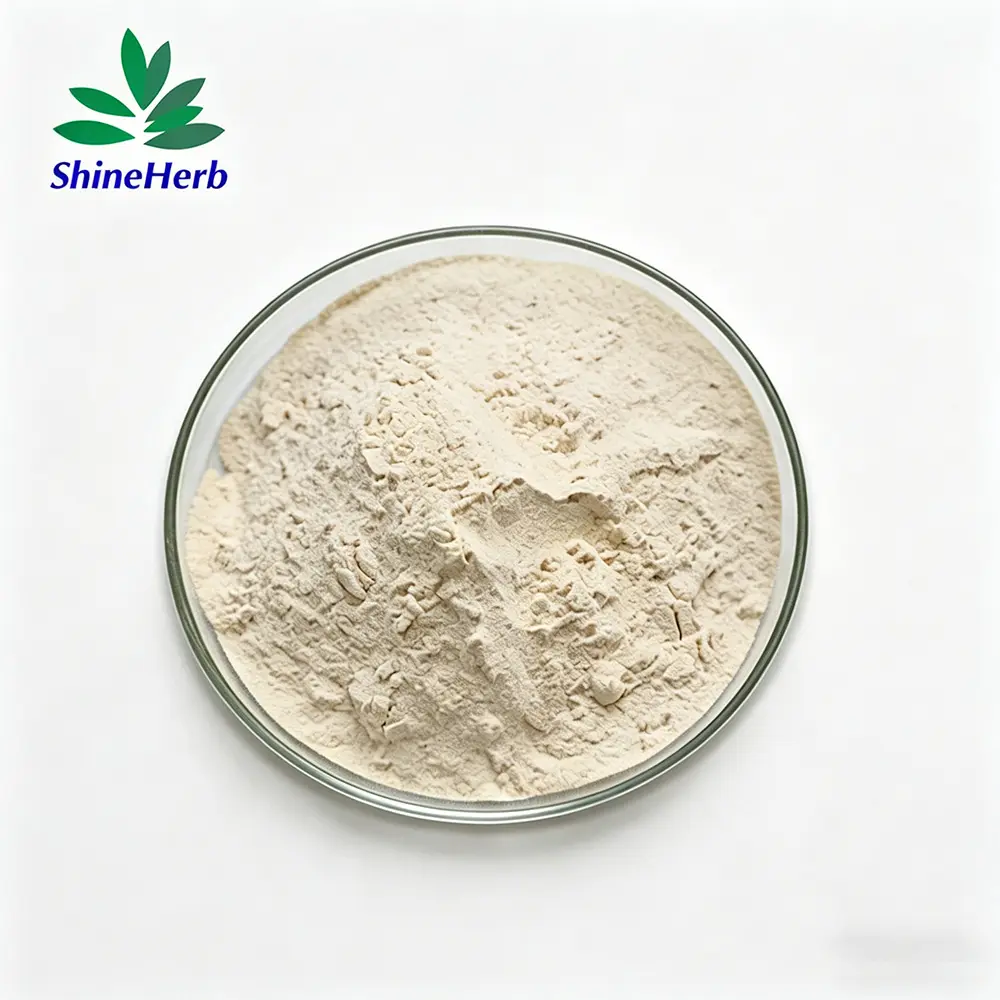 Wholesale Natrural Oat Extract Wholesale food grade Oat Beta Glucan Supplier, Exporters