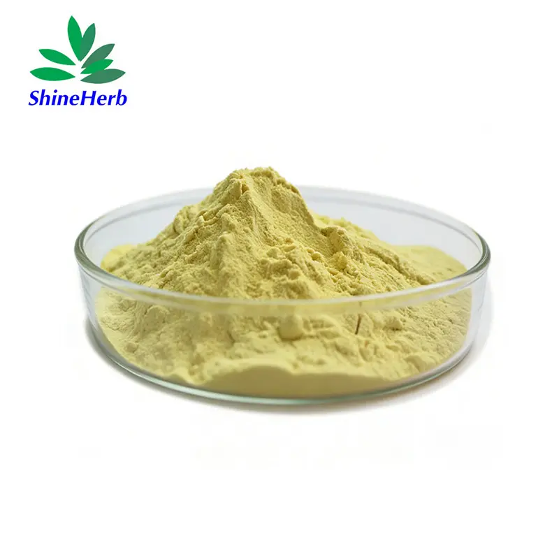 China High Purity Natural Quercetin 95% HPLC UV 98% - China Suppliers and Factory Direct Offer Manufacturers, Suppliers