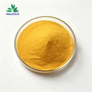 Folic Acid