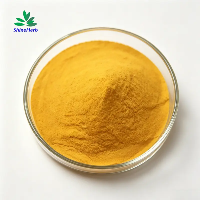 Buy Curcumin Extract Natural Turmeric Root Extract for Healthcare Supplement Suppliers, Factories