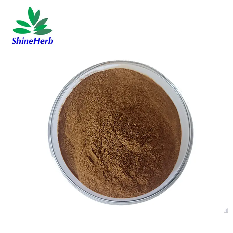 High-Quality 100% Natural Sparassis Crispa Extract 30% Polysaccharide Manufacturer, Exporters