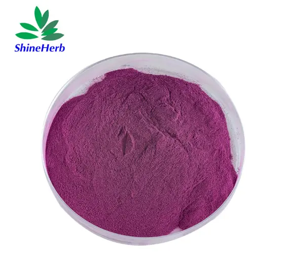 Wholesale High Quality Beet Root Red Powder Food Grade Wholesale Manufacturers, Factories