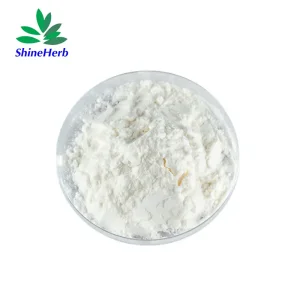 High-Quality Bifidobacterium longum susp.longum Probiotic Powder for Supplements Manufacturers, Manufacturer