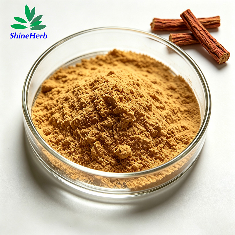 salvia-miltiorrhiza-extract-1