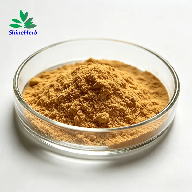 Wholesale Horse Chestnut Extract Natural Anti-Inflammatory Manufacturer, Company
