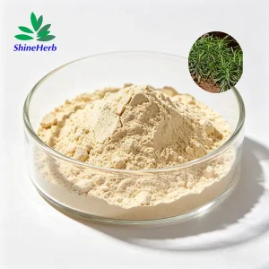 China Huperzine Powder