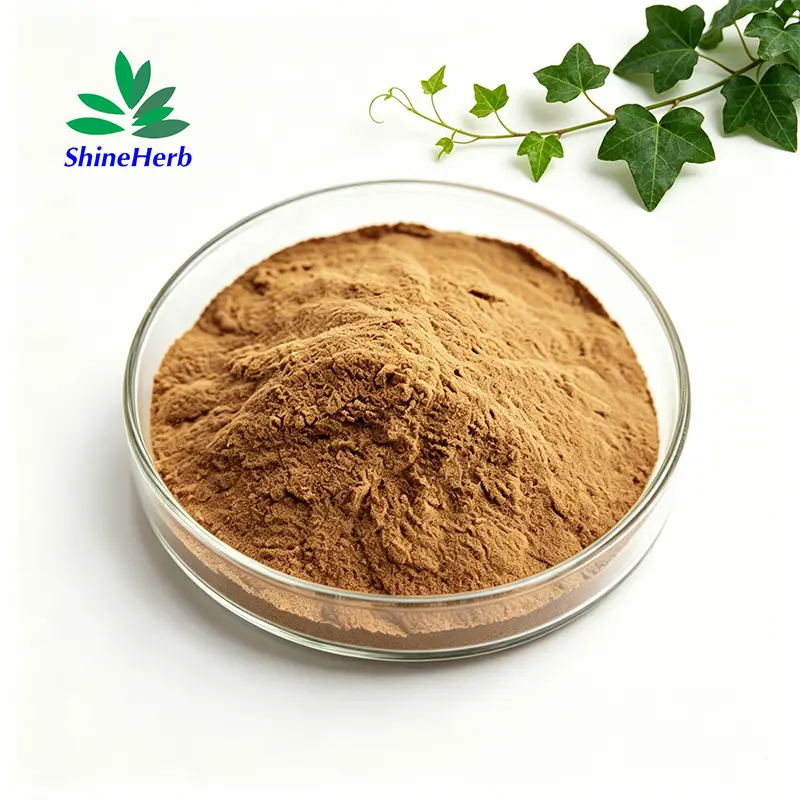 China Natural Hedera Helix Extract Ivy Leaf Extract High Purity Hederacoside Plant Extract Powder Company, Exporters