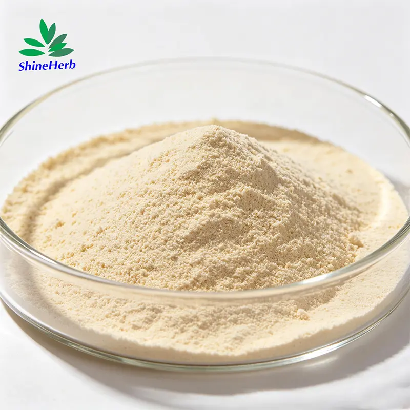 High-Quality Shineherb biotech Supply Yeast Beta Glucan Natural Food Additive Exporters, Exporter