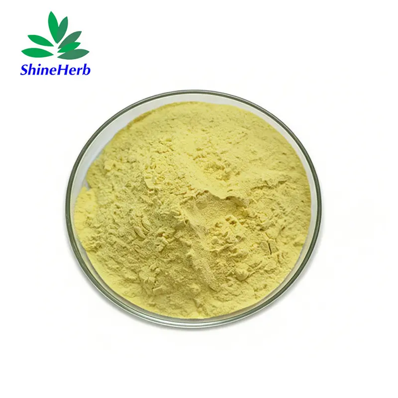 China High Purity Natural Quercetin 95% HPLC UV 98% - China Suppliers and Factory Direct Offer Manufacturers, Suppliers