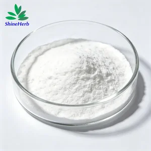Wholesale Magnesium Malate