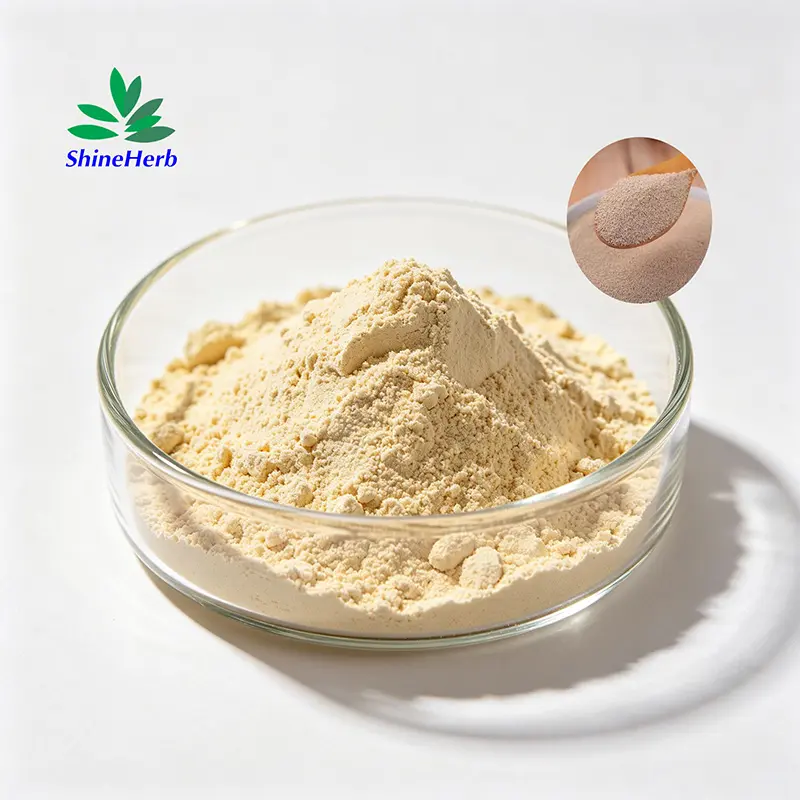 High-Quality Shineherb biotech Supply Yeast Beta Glucan Natural Food Additive Exporters, Exporter