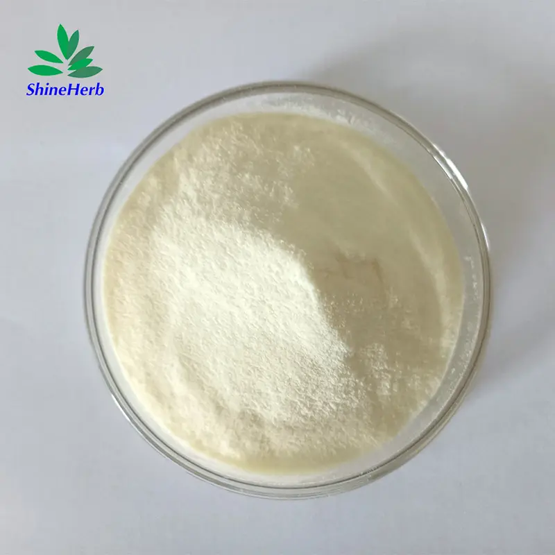 Best Wholesale Sanchi Panax Root Extract Notoginsenoside Exporters, Exporter