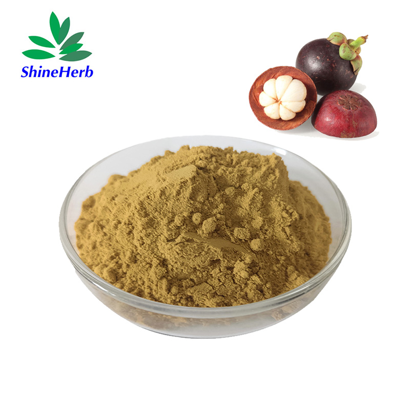 mangosteen-extract-1