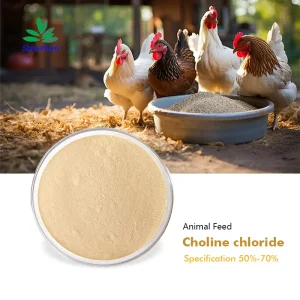 Choline Chloride