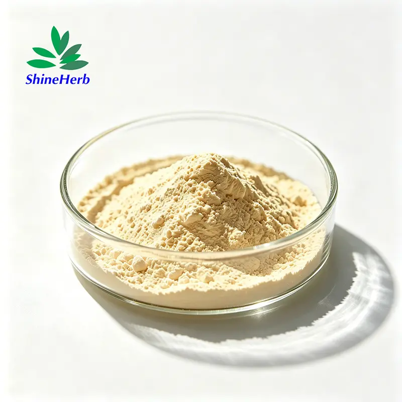 Wholesale Food Grade Natamycin 50% Natural Antifungal Preservative Powder | Shineherb biotech Company, Exporters