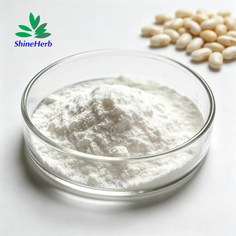 High-Quality Natural Phaseolin White Kidney Bean Extract for Loss Weight Manufacturers, Companies