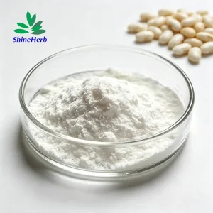 High-Quality Natural Phaseolin White Kidney Bean Extract for Loss Weight Manufacturers, Companies