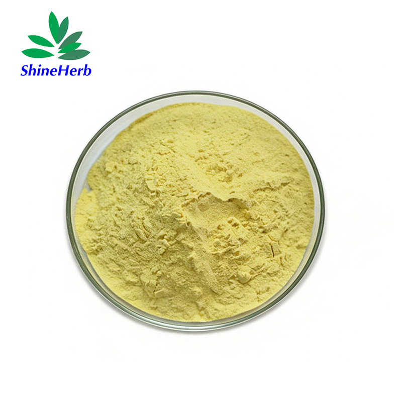High Purity Natural Quercetin plant extract antioxidant supplement ingredient