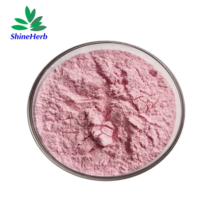 Best Bulk wholesale Acerola Cherry Extract Acerola Cherry Powder Manufacturers, Factories