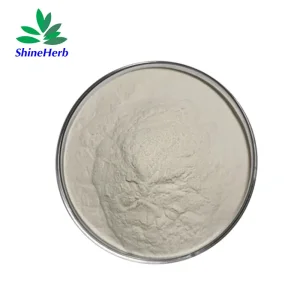 Wholesale Bacillus Coagulans Powder Heat‑Stable Spore Probiotic Raw Material Companies, Company