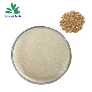 Buy Hot Sale Hydrolyzed Gluten Peptide