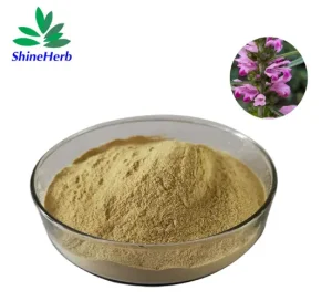 China Factory Supply Natural Leonurus Japonicus Extract Powder Relief PMS Raw Material Manufacturers, Manufacturer