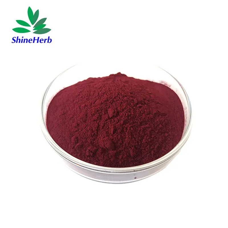 Buy Pine Bark Extract Natural Proanthocyanidins 95% OPC Antioxidant Raw Materials Manufacturer, Factories