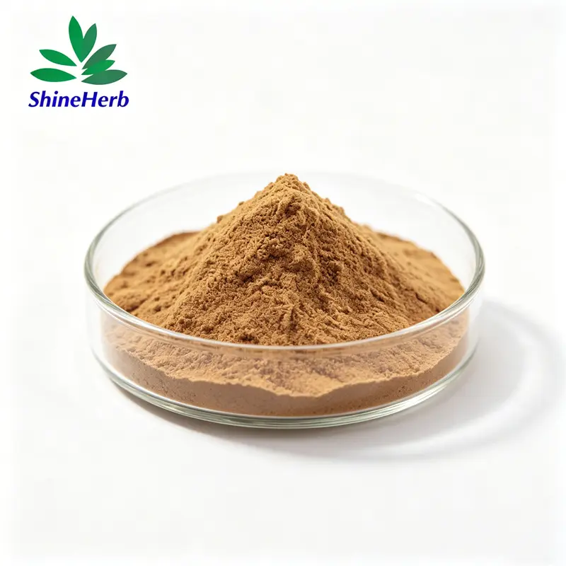 Best Energy Booster Ashwagandha Extract 5% Withanolides Supplier, Companies