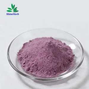 Natural Ube Powder Bulk Wholesale