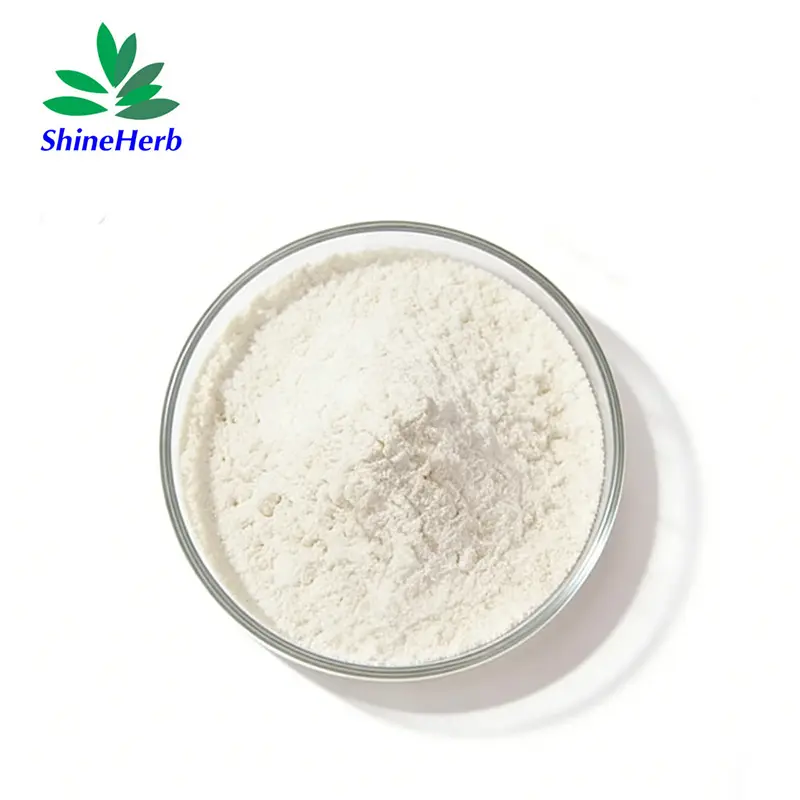 Wholesale High-Quality Bromelain Enzyme Pineapple Extract Powder from China Suppliers and Factory Suppliers, Companies