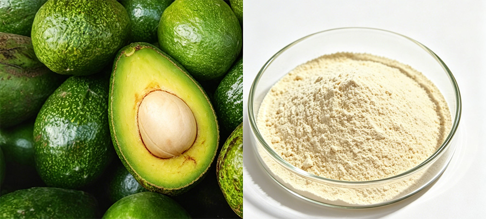avocado-soybean-unsaponifiables-3