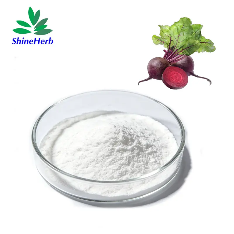 Best Bulk Betaine Hydrochloride Betaine HCL Powder for Health Supplement Raw Material Exporter, Factory