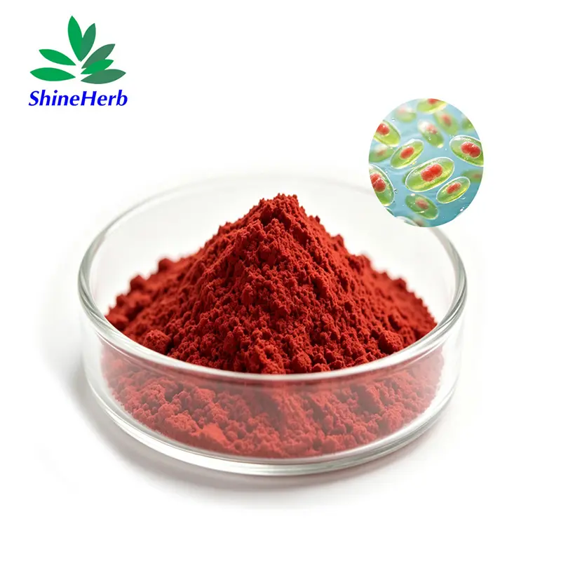 Best Natural Astaxanthin Powder from Haematococcus pluvialis Bulk Supplier Companies, Factory