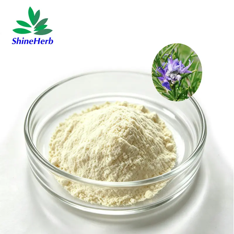China Natural Rosemary Extract 98% Rosmarinic Acid supplier Manufacturers, Manufacturer