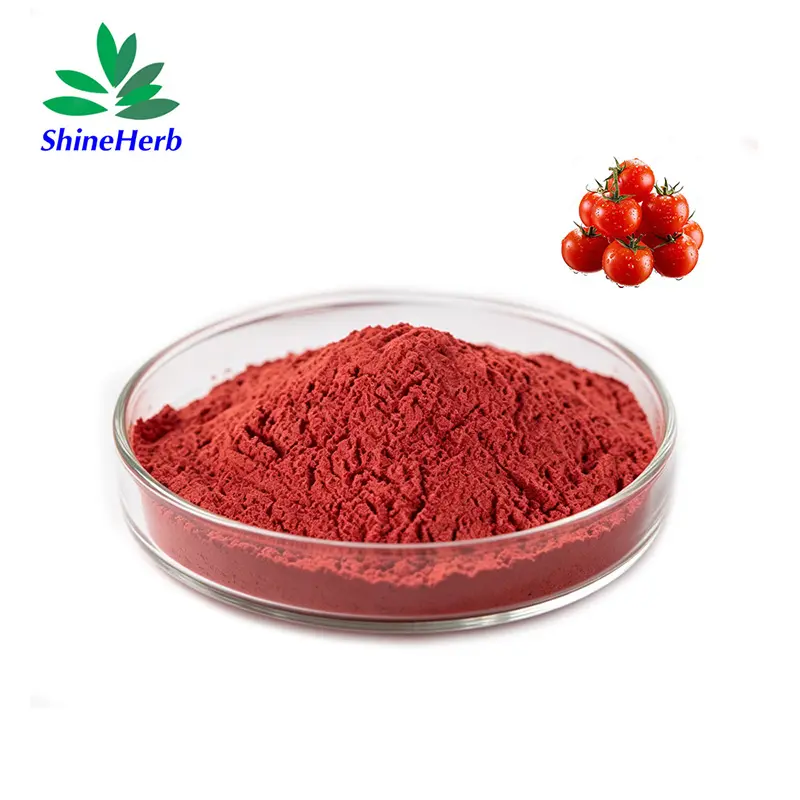Buy Lycopene Powder for Anti-Aging Skincare & Male Wellness Supplements Manufacturer, Exporter