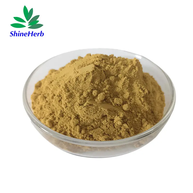 China Factory Supply Fructus Cnidii Cnidium Fruit Extract Osthole Manufacturer, Exporters