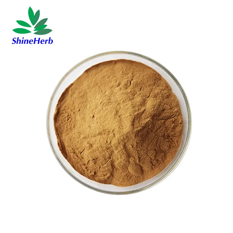 Best AHCC Food Grade Active  Hexose Correlated Compound Shiitake Mushroom Extract Powder Manufacturers, Supplier