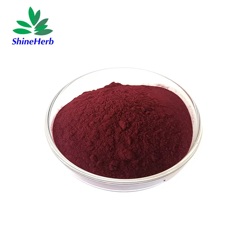 High-Quality Wholesale Elderberry Extract Natural Anthocyanidin Raw Material Companies, Exporters