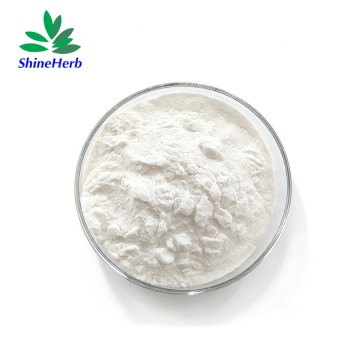 Food Grade Lactase Enzyme Powder for dairy and lactose-free product manufacturing