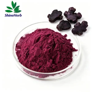 China Wholesale Kaempferia Parviflora Extract Powder Black Ginger Extract Company, Factory