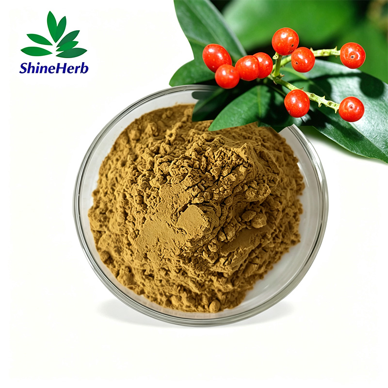 sarcandra-glabra-extract-1