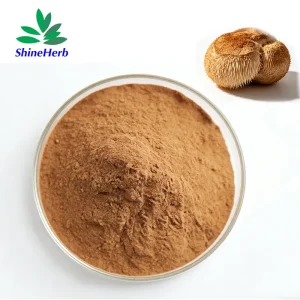 Lion's Mane Mushroom Extract India
