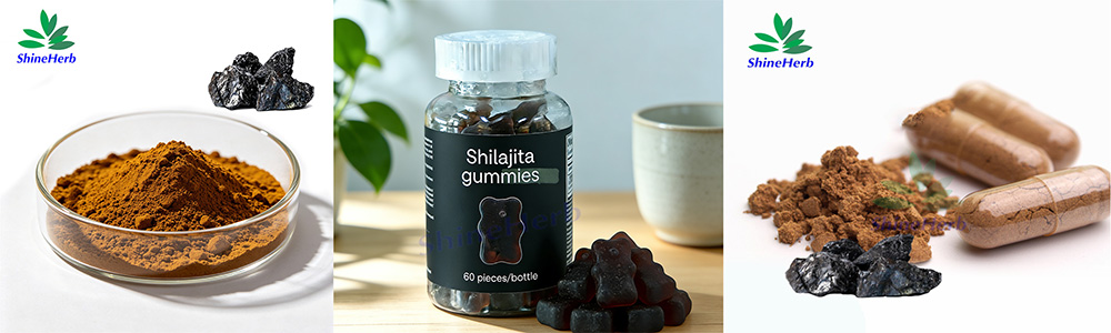 shilajit-special