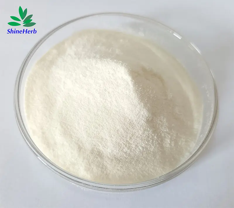 High-Quality Wholesale Aminopeptidase Enzyme Food Additive Companies, Exporter