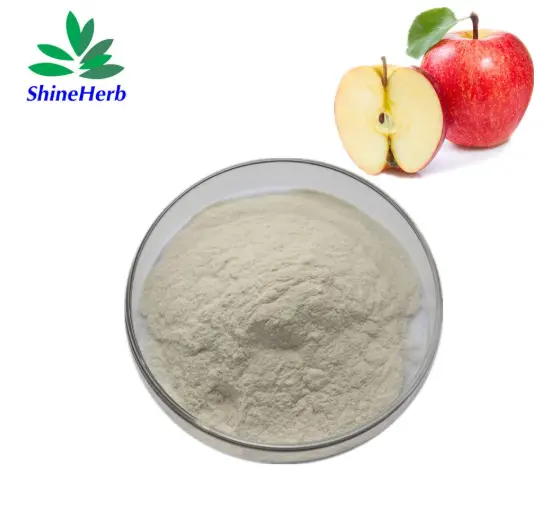 Wholesale Wholesale Apple Cider Vinegar Powder Supplier, Companies